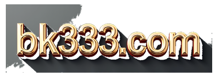 bk333com logo